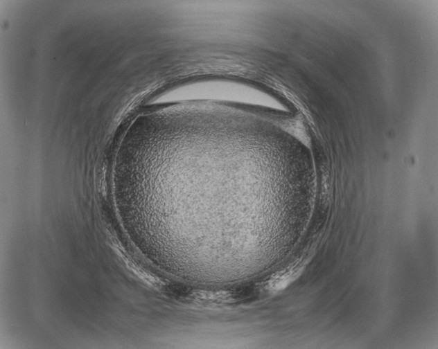 X0000085050403200703191304