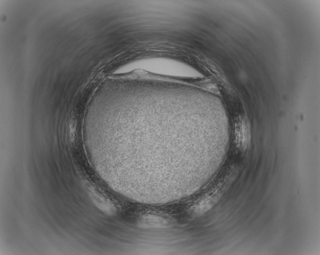 X0000085050408200703191304