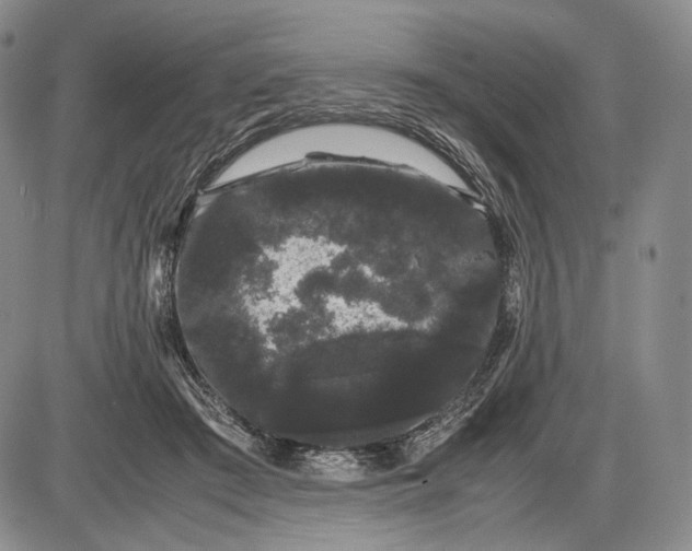 X0000085050409200703191304