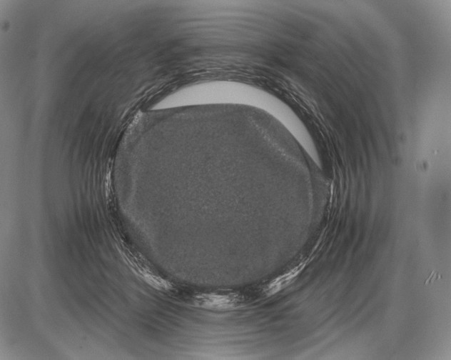 X0000085050412200703191304