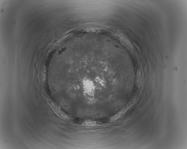 X0000085050413200703191304