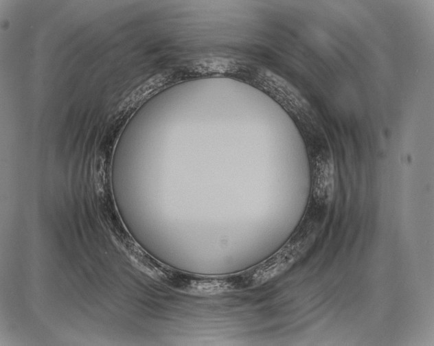 X0000085050414200703191304