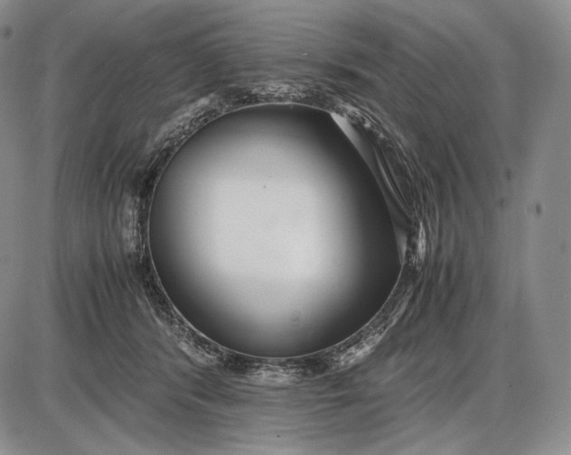 X0000085050416200703191304