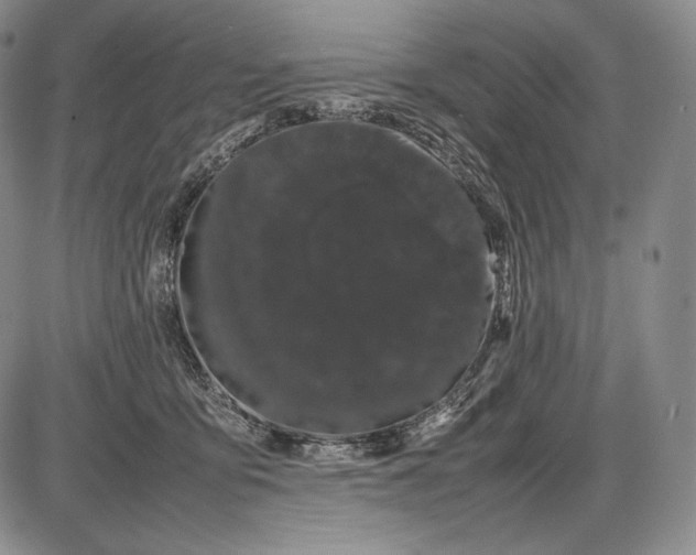 X0000085050419200703191304