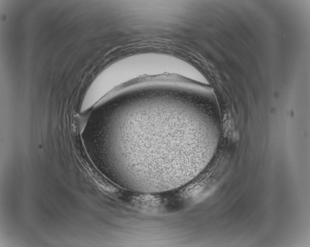 X0000085050421200703191304