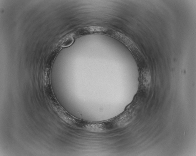 X0000085050422200703191304