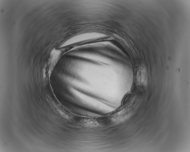 X0000085050424200703191304