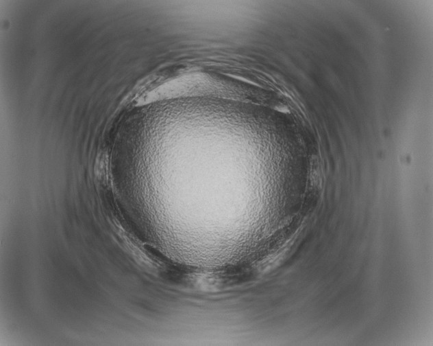 X0000085050425200703191304