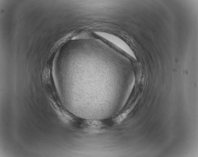 X0000085050429200703191304