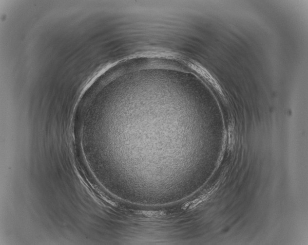 X0000085050436200703191303