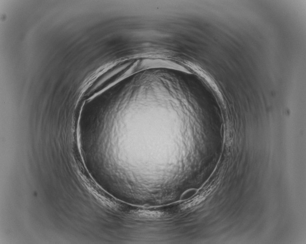 X0000085050437200703191303