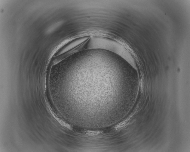 X0000085050438200703191303