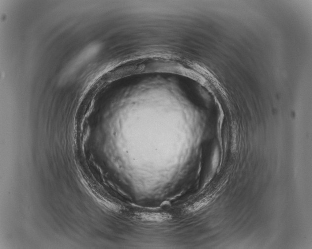 X0000085050439200703191303