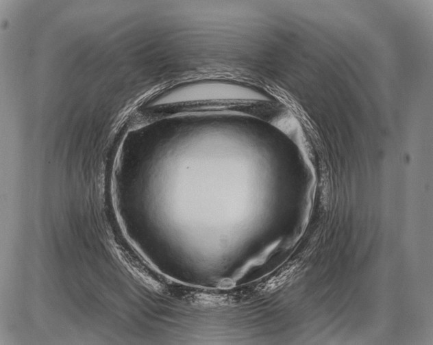 X0000085050442200703191303