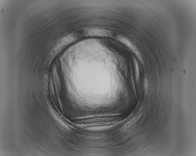 X0000085050445200703191303