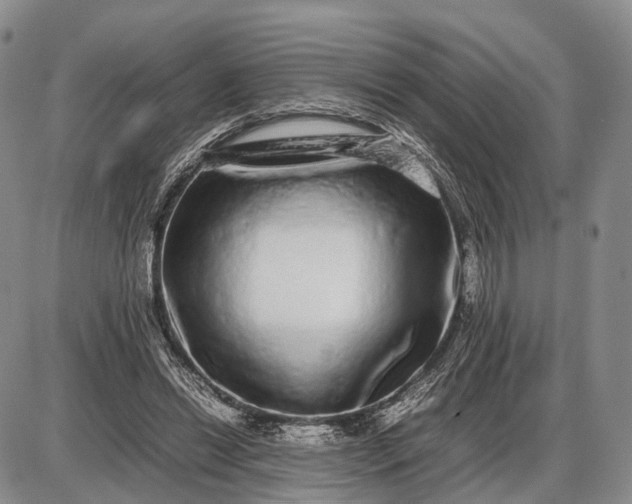 X0000085050446200703191303