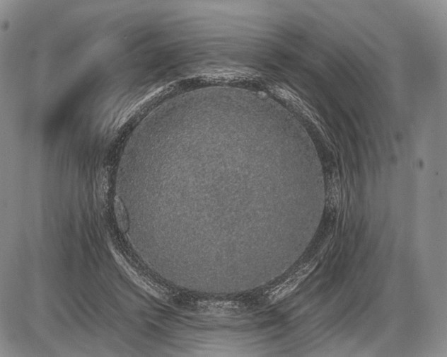 X0000085050448200703191303