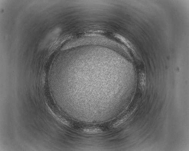 X0000085050451200703191303
