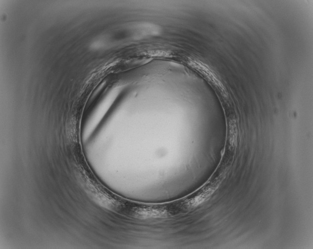 X0000085050453200703191303