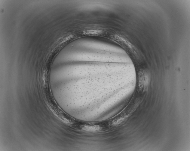X0000085050455200703191303