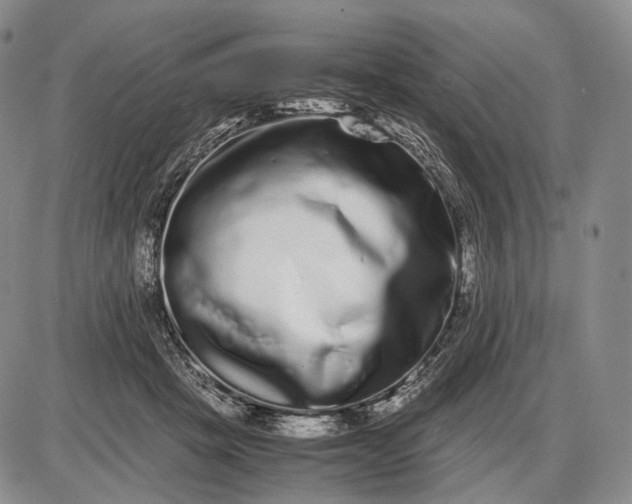 X0000085050457200703191303