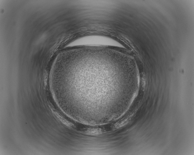 X0000085050458200703191303