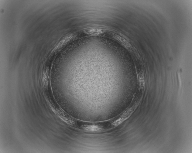 X0000085050460200703191303