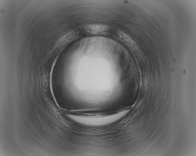 X0000085050461200703191303