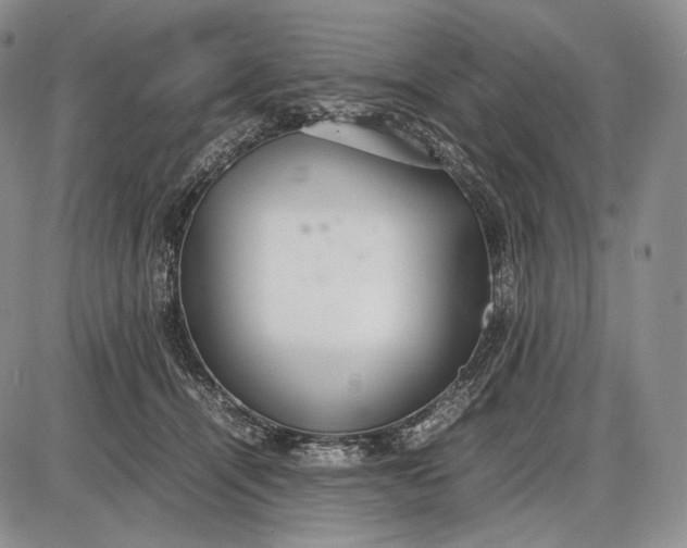X0000085050464200703191303