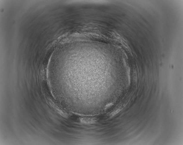 X0000085050465200703191303