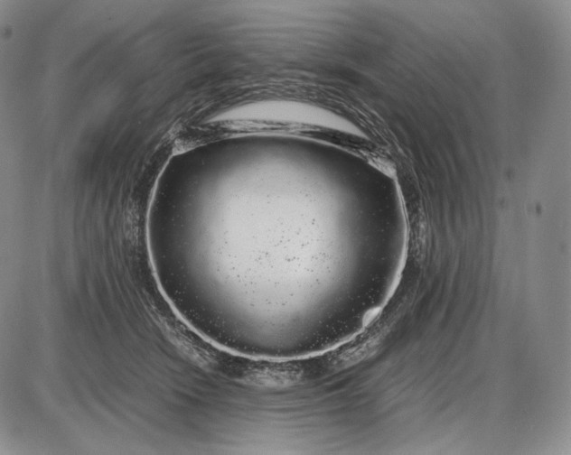 X0000085050466200703191303