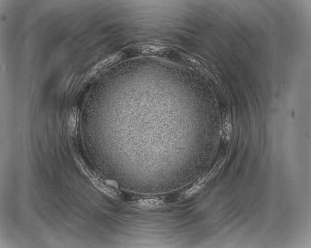X0000085050468200703191303