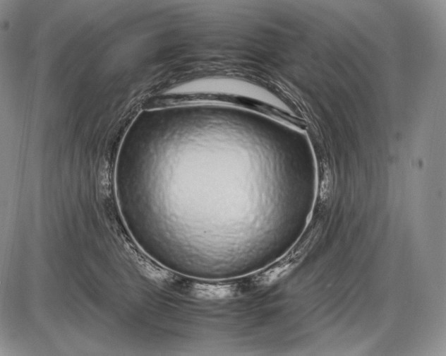 X0000085050469200703191303