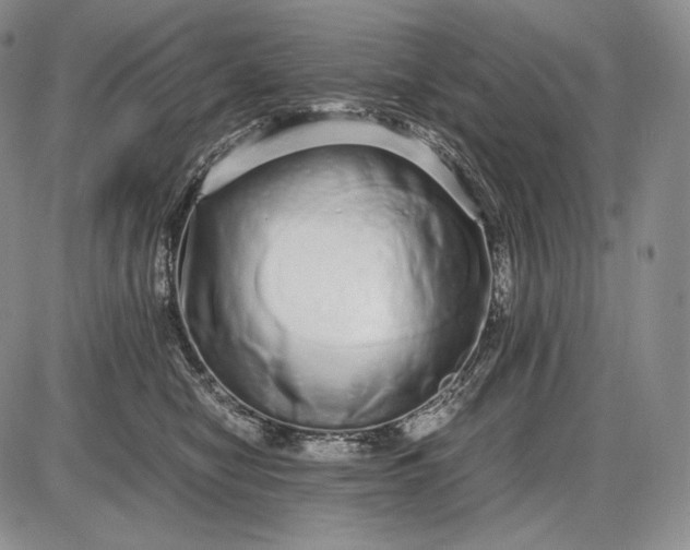 X0000085050470200703191303