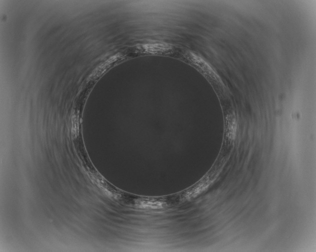 X0000085050471200703191303