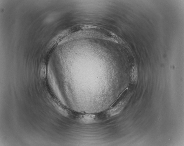 X0000085050474200703191303