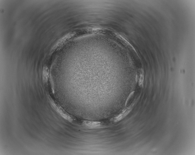 X0000085050476200703191303