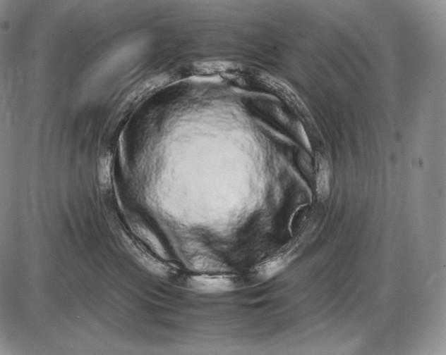 X0000085050477200703191303