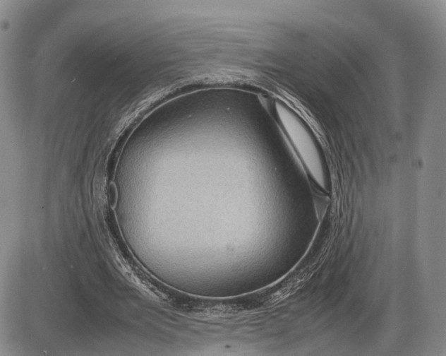 X0000085050485200703191303