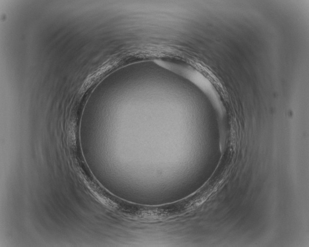 X0000085050489200703191303