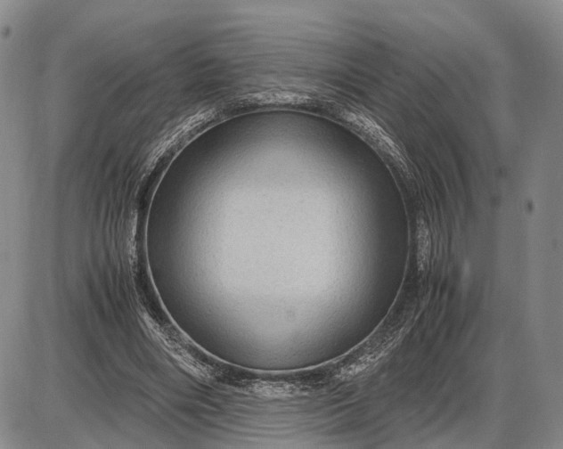 X0000085050490200703191303