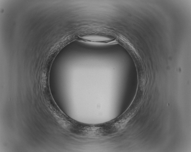 X0000085050497200703191302