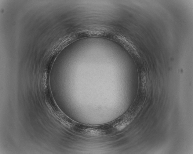 X0000085050498200703191302