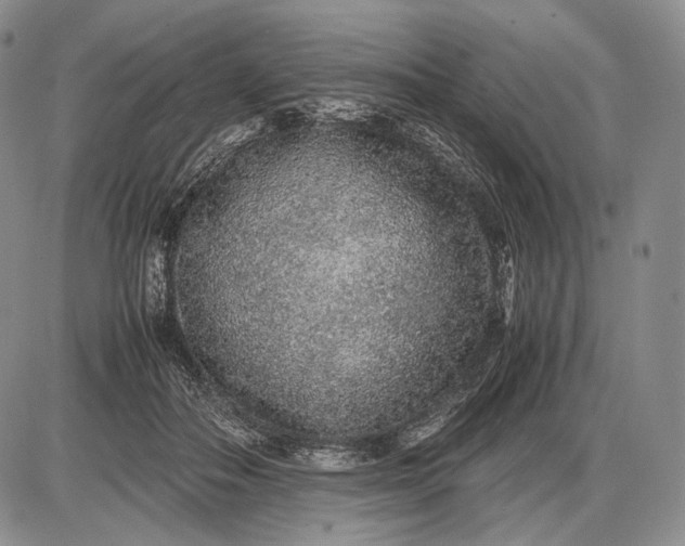 X0000085050506200703191302