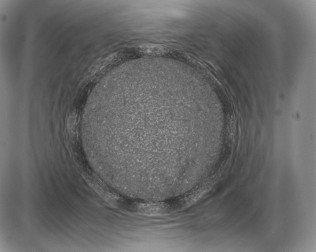 X0000085050511200703191302