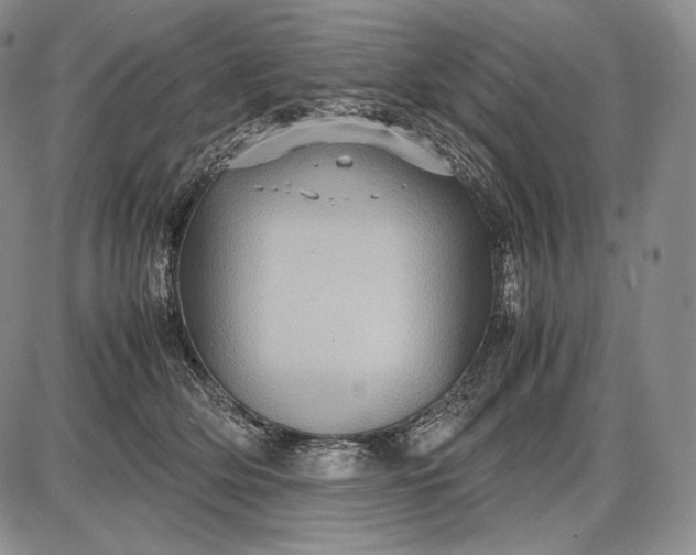 X0000085050514200703191302