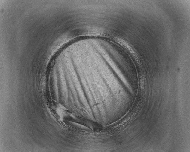 X0000085050532200703191301