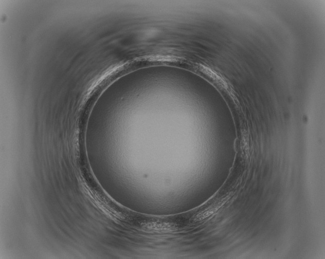 X0000085050535200703191301