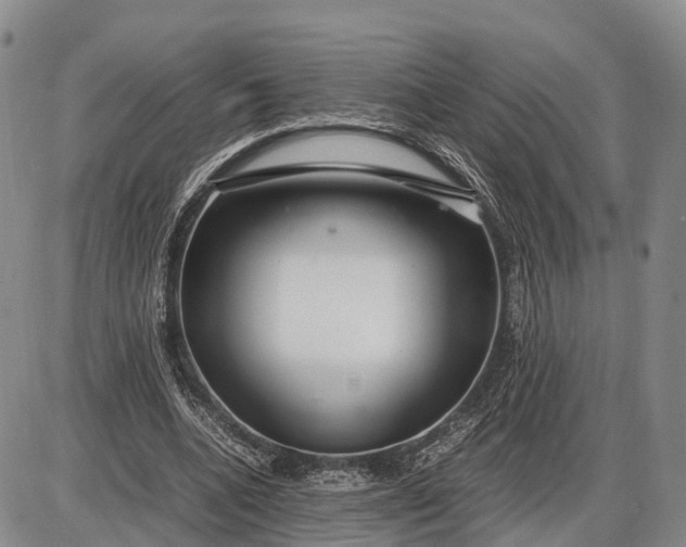X0000085050536200703191301