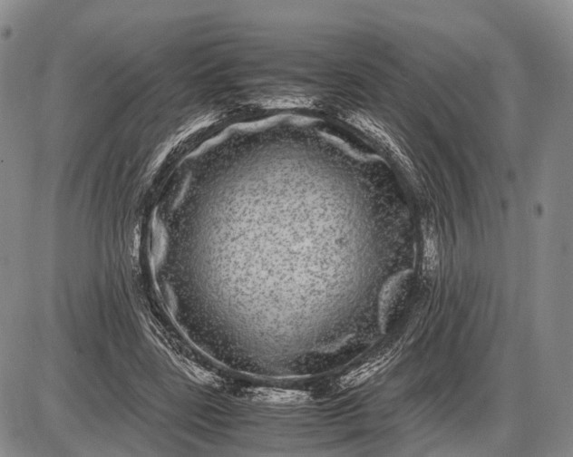 X0000085050539200703191301